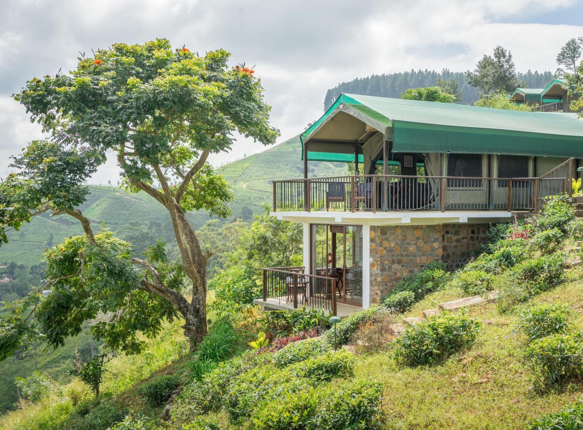 Madulkelle Tea&Eco Lodge Kandy Esterno foto