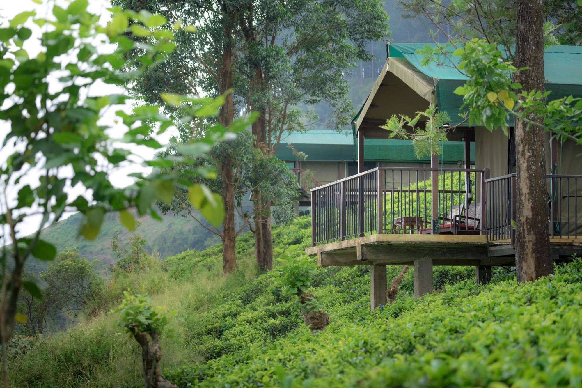 Madulkelle Tea&Eco Lodge Kandy Esterno foto