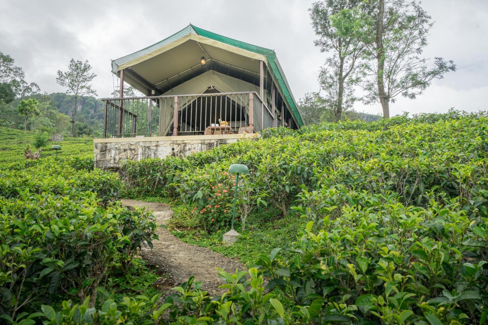 Madulkelle Tea&Eco Lodge Kandy Esterno foto