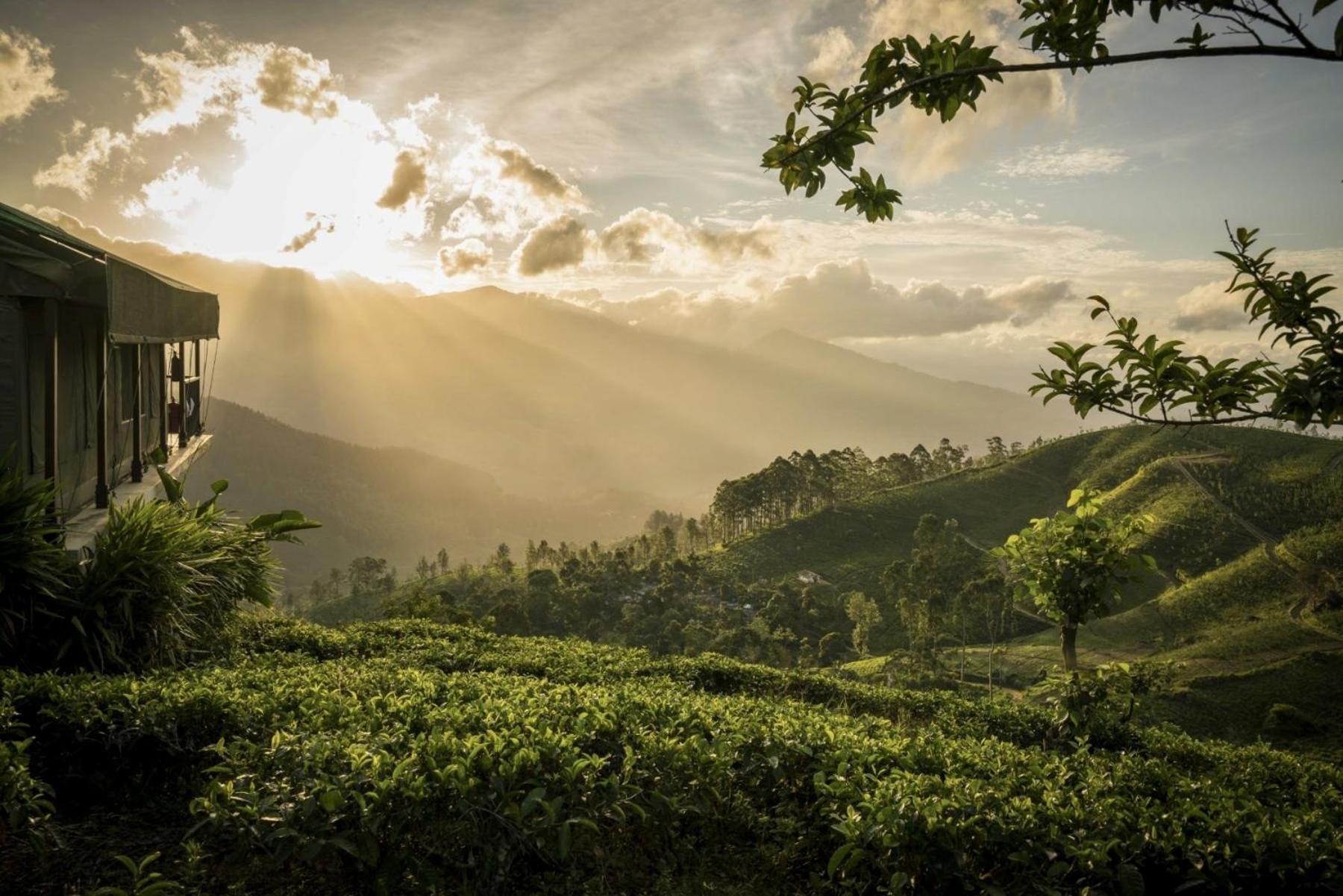 Madulkelle Tea&Eco Lodge Kandy Esterno foto
