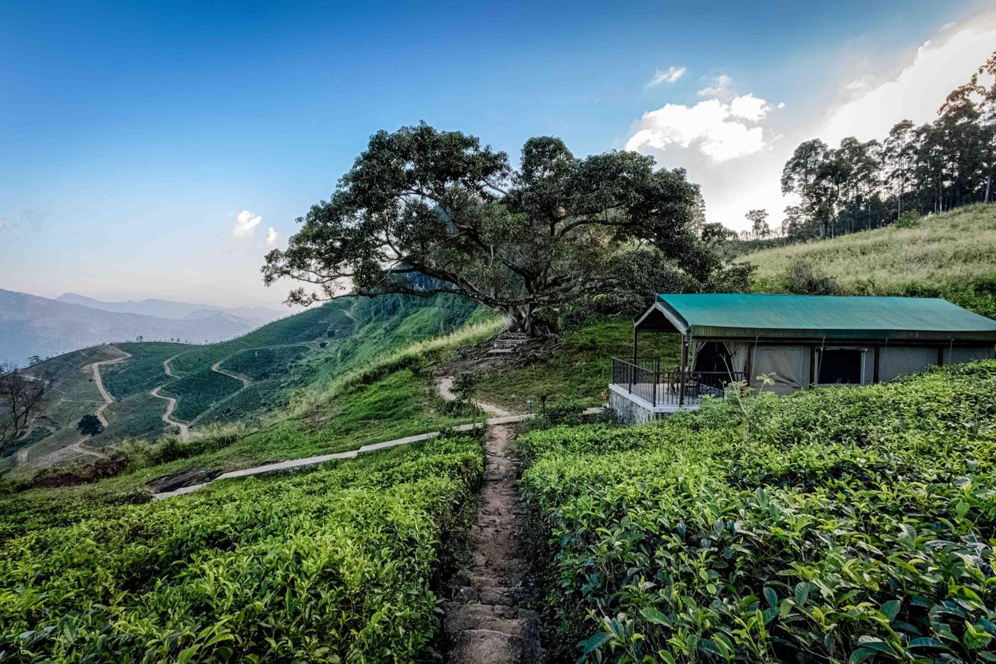 Madulkelle Tea&Eco Lodge Kandy Esterno foto