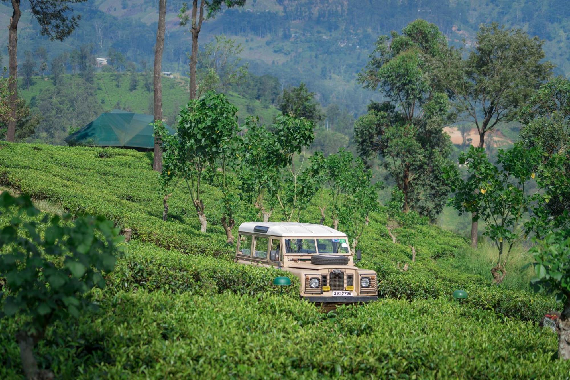 Madulkelle Tea&Eco Lodge Kandy Esterno foto