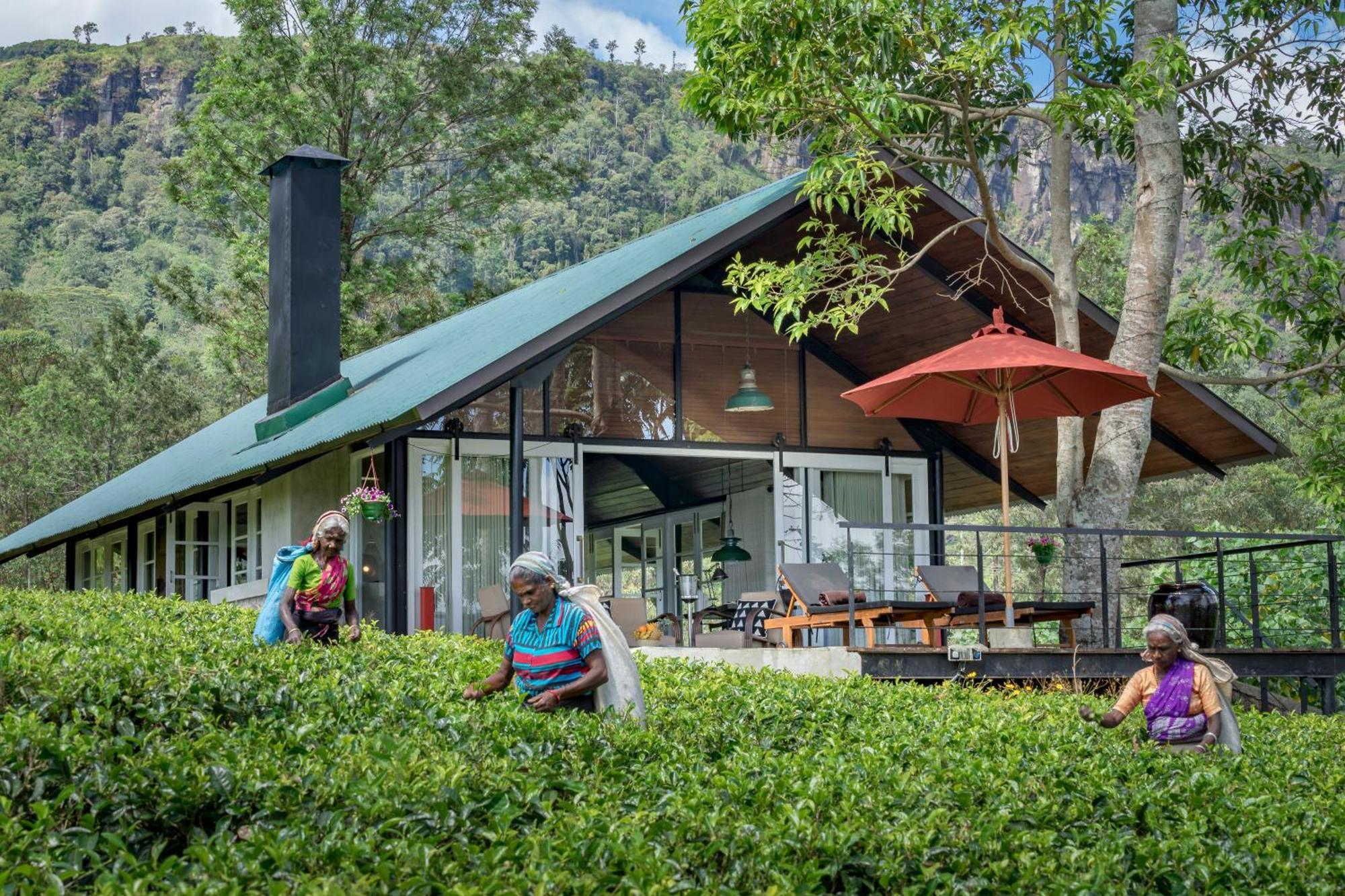 Madulkelle Tea&Eco Lodge Kandy Esterno foto